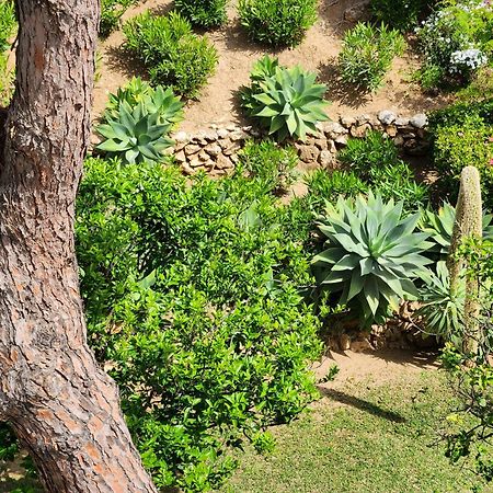 Elena Flat Lovely Paradise Above The Sea Sitio de Calahonda 外观 照片