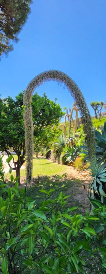 Elena Flat Lovely Paradise Above The Sea Sitio de Calahonda 外观 照片