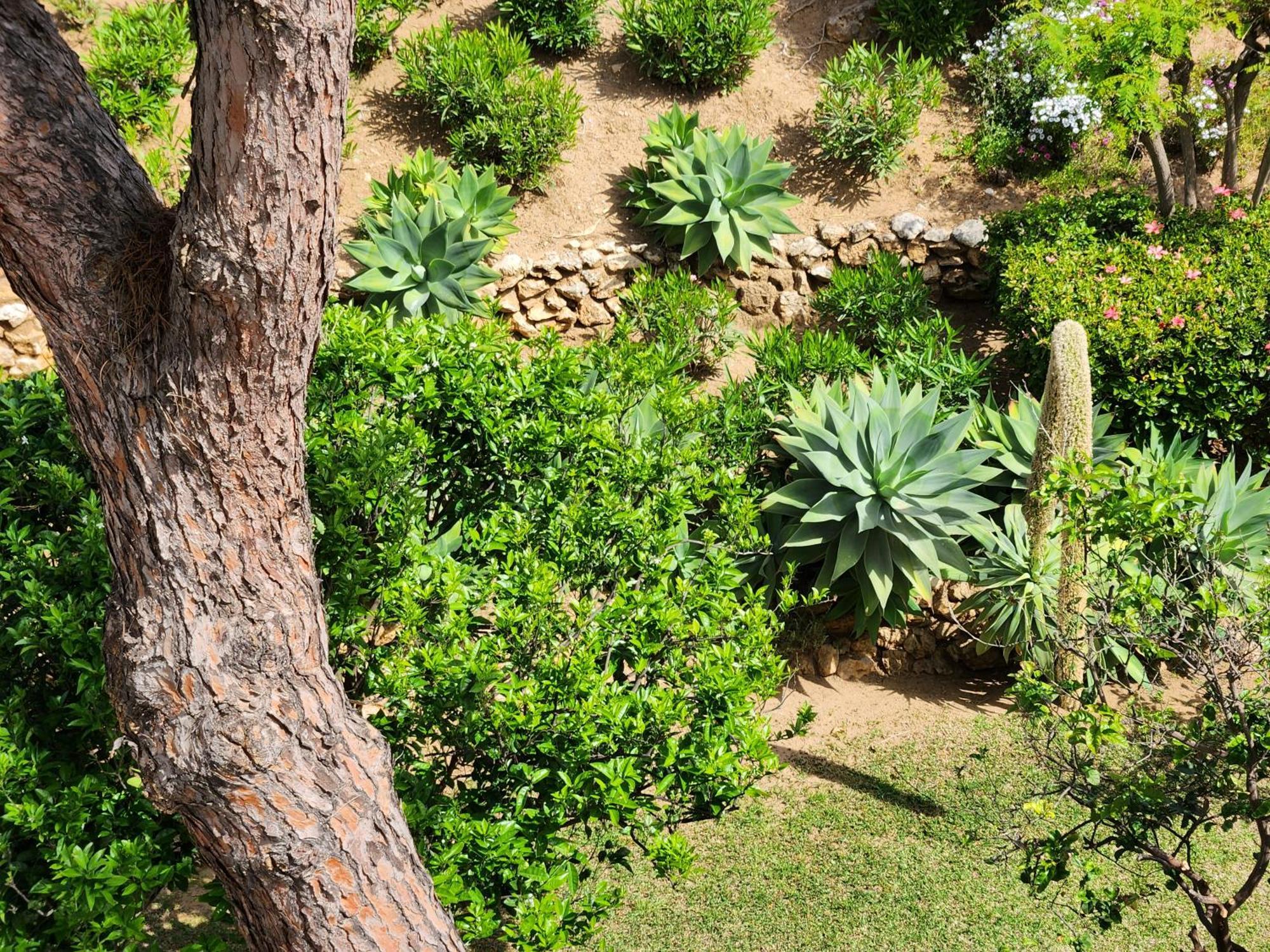 Elena Flat Lovely Paradise Above The Sea Sitio de Calahonda 外观 照片